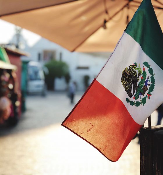 Frente a las elecciones… querer a México - PosdataMx -